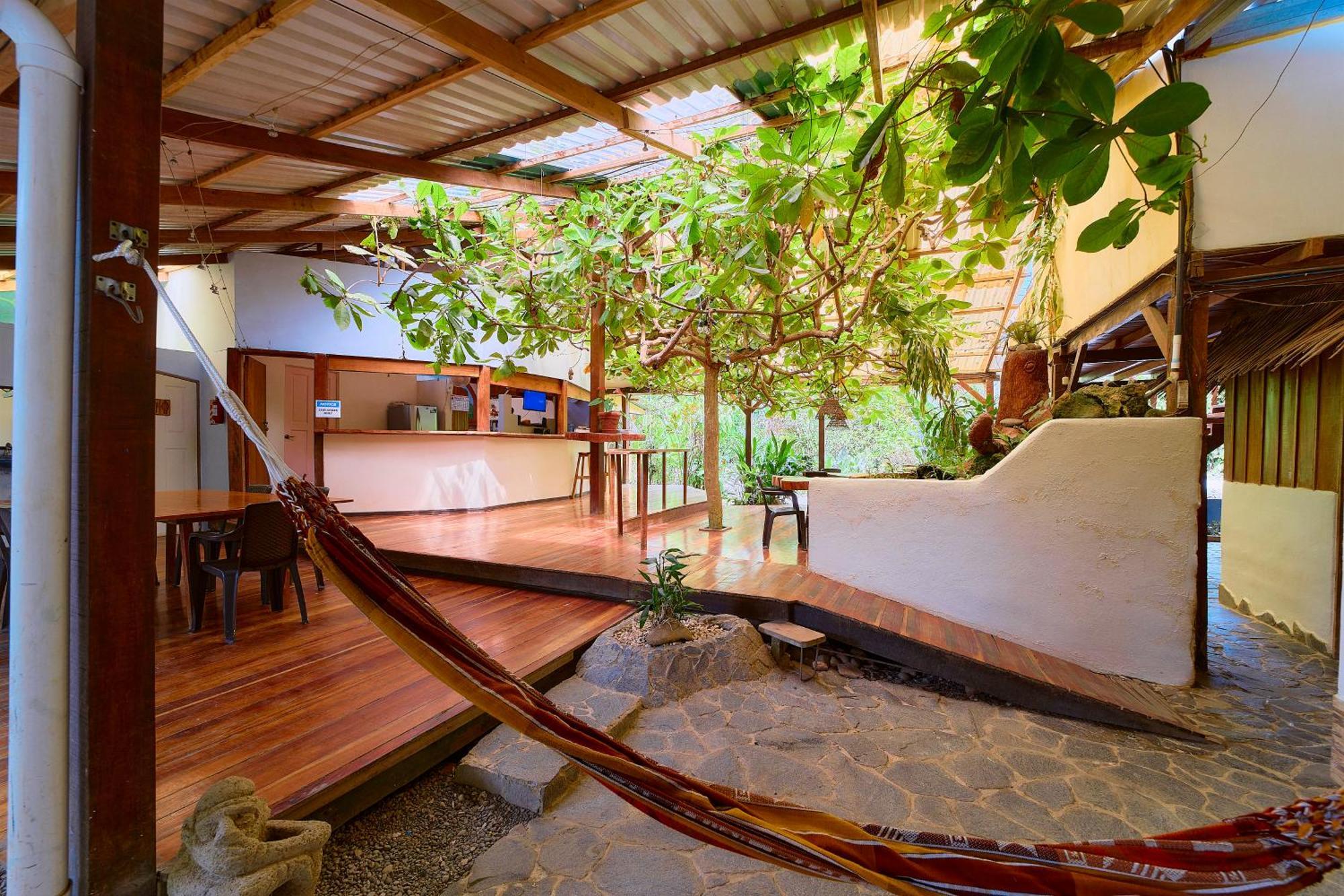 Cabinas Montesol Puerto Viejo de Talamanca Bagian luar foto